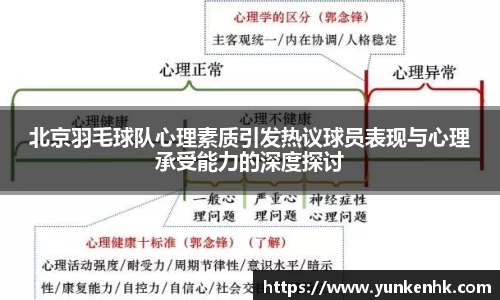 北京羽毛球队心理素质引发热议球员表现与心理承受能力的深度探讨